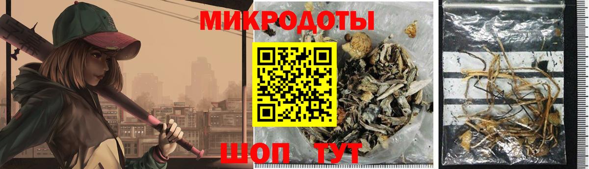 Галлюциногенные грибы Psilocybe Соль-Илецк